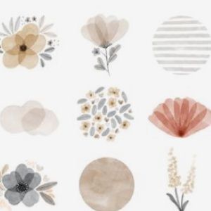 Meet your Posher, Shalynn